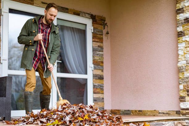 Best Electronics Removal Services  in Ceresco, NE